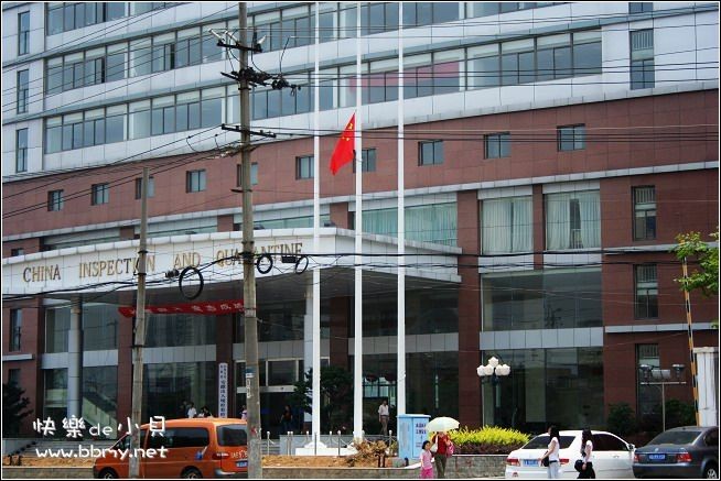 降半旗金东浩成长相册