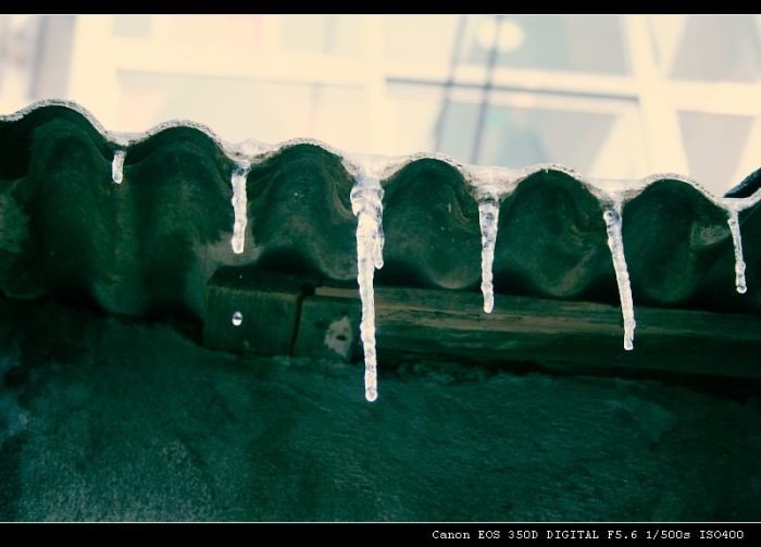 雪景金东浩成长相册