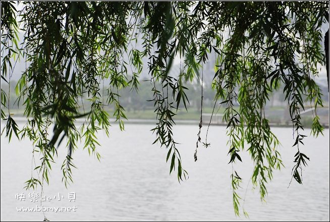 天鹅湖金东浩成长相册