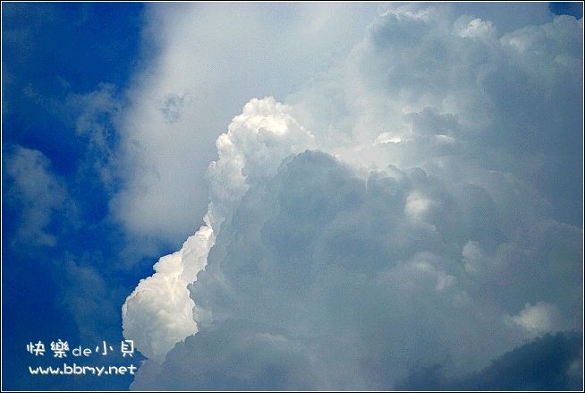 云金东浩成长相册