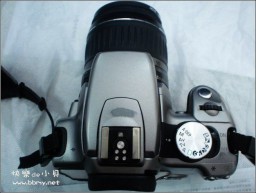 佳能350D金东浩成长相册11