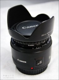 佳能50MM1.8F金东浩成长相册6