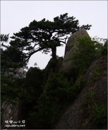 黄山金东浩成长相册2