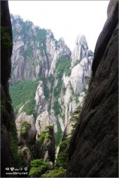 黄山金东浩成长相册3