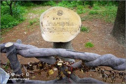 黄山金东浩成长相册4