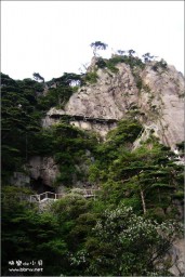 黄山金东浩成长相册8