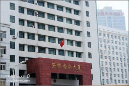 降半旗金东浩成长相册1