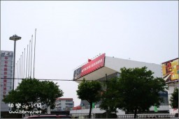 降半旗金东浩成长相册7