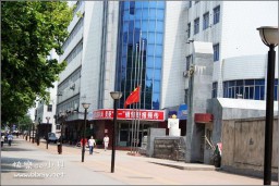 降半旗金东浩成长相册9