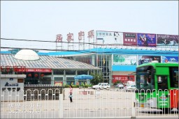 降半旗金东浩成长相册11