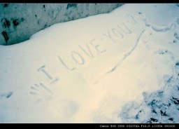 雪景金东浩成长相册2