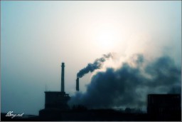 日落金东浩成长相册3