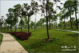 天鹅湖金东浩成长相册3