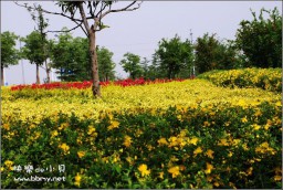 天鹅湖金东浩成长相册4