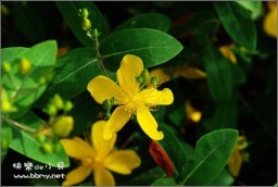 天鹅湖金东浩成长相册5