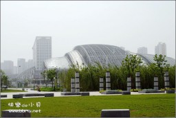 天鹅湖金东浩成长相册8