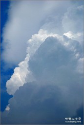 云金东浩成长相册1