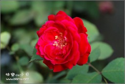 花金东浩成长相册9