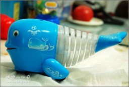 鲸鱼玩具金东浩成长相册3