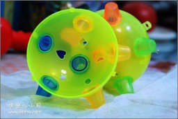 玩具球金东浩成长相册0