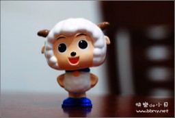 喜羊羊金东浩成长相册4