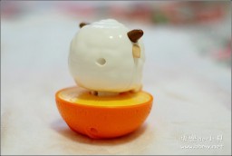 懒羊羊金东浩成长相册3