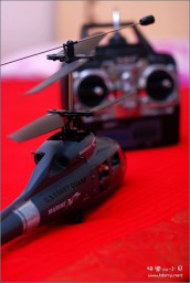 直升机遥控金东浩成长相册6