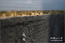 裕东景园金东浩成长相册25