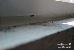 裕东景园金东浩成长相册26