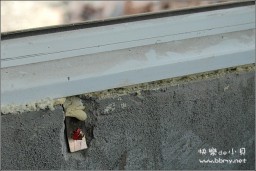 裕东景园金东浩成长相册31